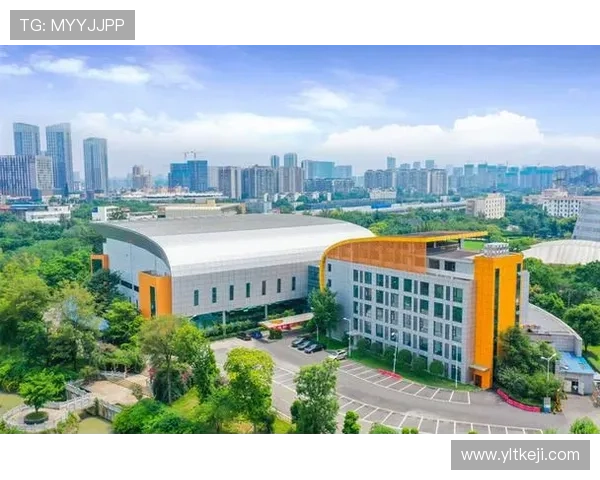 成都乒乓球队耐力训练的探索与实践分析 成都乒乓球队耐力训练的探索与实践分析