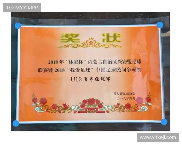 深圳足球队在大师赛中的个人能力分析与表现评估 深圳足球队在大师赛中的个人能力分析与表现评估